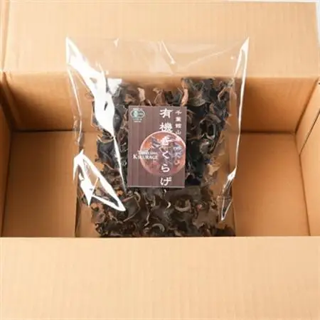 【館山市の廃校活用】千葉県館山産　有機(オーガニック)乾燥きくらげ(100g×1パック)【1688185】
