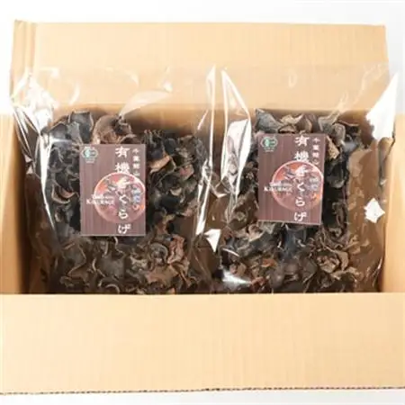 【館山市の廃校活用】千葉県館山産　有機(オーガニック)乾燥きくらげ(100g×2パック)【1688186】