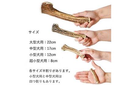 エゾ鹿の角ガム 22cm 大型犬用 北海道産 国産 無添加 犬用ガム 天然鹿角 長持ち デンタルケア ペット おやつ F5F-0066
