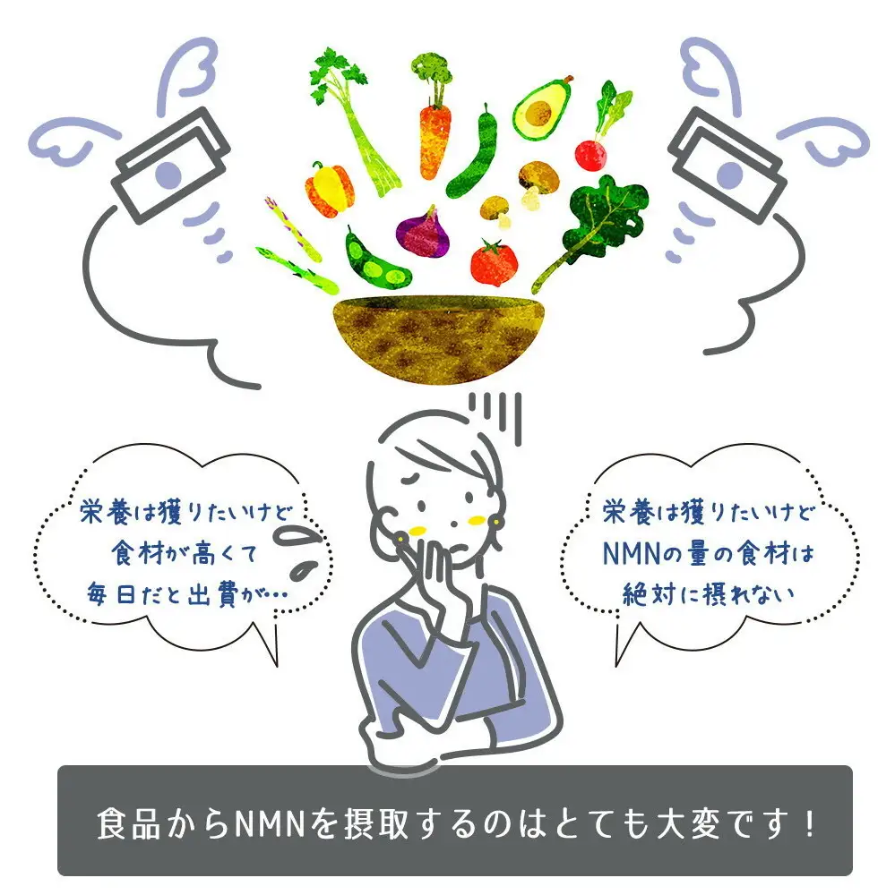 魅惑ザクロ NMN Boost(福岡市返礼品)【3袋入り】