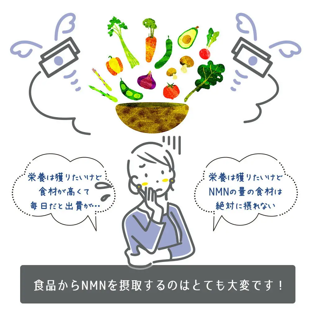 魅惑ザクロ NMN Boost(福岡市返礼品)【6袋入り】