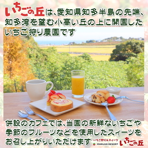 まるは食堂 マルハリゾート いちごの丘 『訳あり』完熟 冷凍いちご 3kg 1kg×3袋 ｜ 訳あり いちご イチゴ 冷凍 3kg 国産 完熟 スムージー ジャム ヨーグルト シャーベット デザート アイス おやつ 果物 フルーツ 愛知県 美浜町 ※北海道・沖縄・離島への配送不可