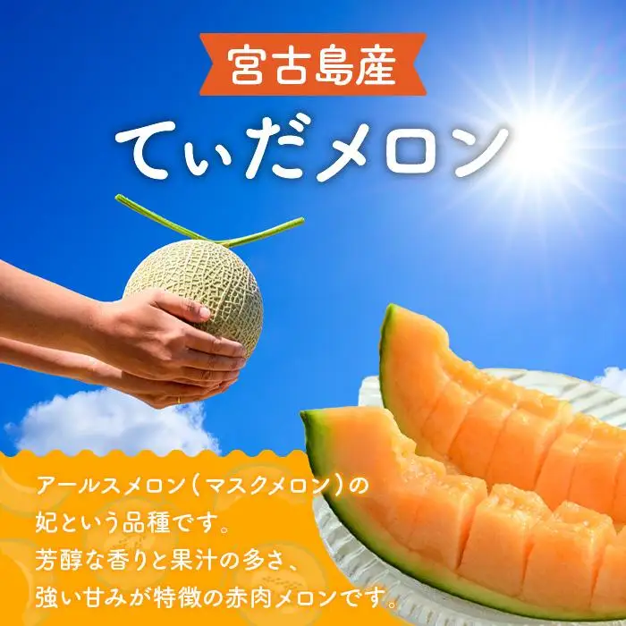 【メロン定期便】＜先行受付＞宮古島産てぃだメロン 2玉《2026年冬・2027年春発送》＜8farm＞（JC007）