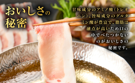 昔ながらの 黒豚 しゃぶしゃぶ セット 1.2kg＜ ロース 、バラ 、モモ ＞ K125-005 豚 豚肉