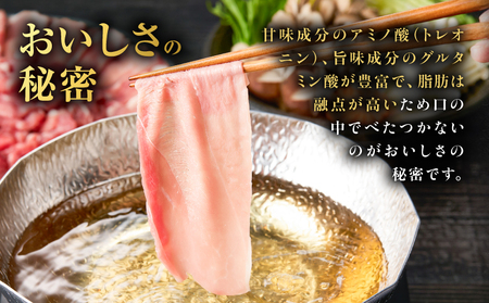 昔ながらの 黒豚 しゃぶしゃぶ 1.2㎏＜ モモ ＞ K125-007 豚 豚肉