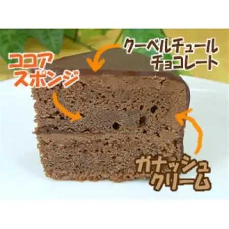 「フロム蔵王」NYチーズケーキとザッハトルテセット【配送不可地域：離島】【1660401】