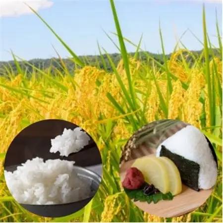 令和7年産【みやぎ米】6銘柄詰め合わせセット　各450g【1673862】