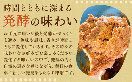 味噌 糀 みそ 糀味噌 750g×2パック (すりタイプ) 川瀬糀店《30日以内に出荷予定(土日祝除く)》茨城県 河内町 送料無料 発酵食品 発酵 食品 味噌 糀 麹 みそ 味噌汁 みそ汁 お味噌 お取り寄せ
