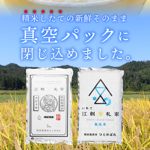 【定期便】江刺金札米ひとめぼれ パック米 5kg×6ヶ月 計30kg 令和7年産 おこめ ごはん ブランド米 精米 白米 [A0033]