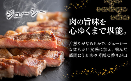 常陸牛 黒毛和牛 牛肉 サーロインステーキ 900g (茨城県共通返礼品：茨城県産) 有限会社加治 肉のカジ《30日以内に出荷予定(土日祝除く) 》茨城県 河内町 お肉 肉 牛肉 和牛 牛肉 サーロイン ステーキ 国産 国産牛 茨城県産【配送不可地域あり】（沖縄・離島）