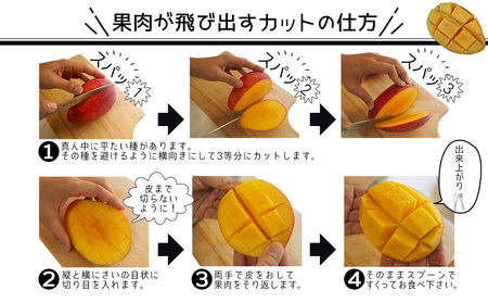 マンゴー【2026年発送】40年続く老舗農園の沖縄県産マンゴー 約2kg 秀品【有機JAS】