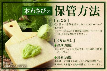 那賀わさび (真妻) 約200g 2～4本【徳島県 那賀町 生産者直送 産地直送 本わさび わさび ワサビ 生わさび 山葵 野菜 香味野菜 国産 真妻 薬味 調味料 万能 新鮮】FN-07