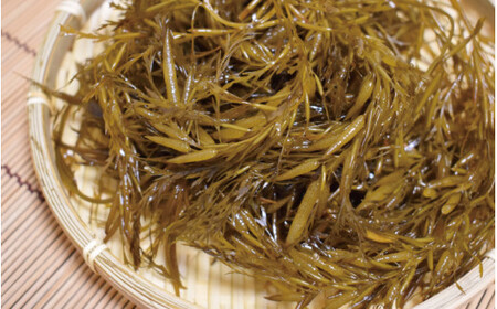 ［由良町産］ 紀州 あかもく 由良町産 100g×5パック 2026年産/ 海藻 フコイダン もずく 【sml214-100-5】