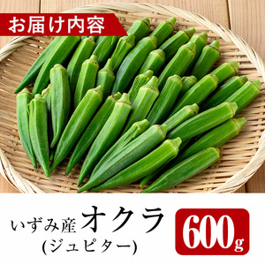 いずみ産 オクラ 新たな品種・ジュピター 600g 【イーサイドライン】 i1216-A