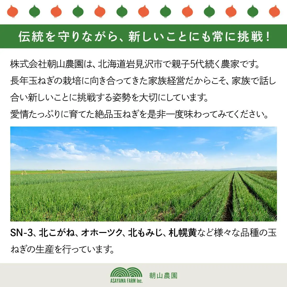【先行予約】畑から直送の新鮮野菜！玉ねぎ(オホーツク222) 10kg [a168-005] 
