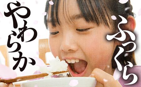 【定期便：６ケ月】令和７年産 福岡県産米 夢つくし 15kg 精米 CY010sub6