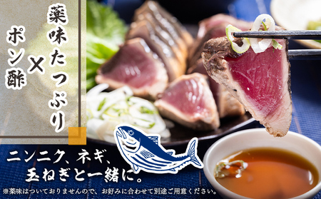 【3回定期便】本場高知の鰹のたたき スライス(100g×5袋) - 定期便 国産 タタキ 濃厚な美味しさ 香ばしさ 食べやすい カツオ かつお 小分けパック 海鮮 新鮮 魚介 産地直送 龍馬の海鮮隊 野島水産 高知県 香南市 冷凍 Wnz-0024
