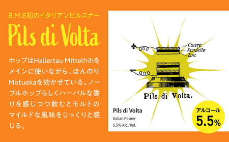 B.M.B Breweryのクラフトビールおまかせ12本セット ビーエムビーブルワリー B.M.BBrewery クラフトビール 少量生産 麦芽 ホップ ローカル フルーツ スパイス 飲み比べ お酒 350ml 詰め合わせ