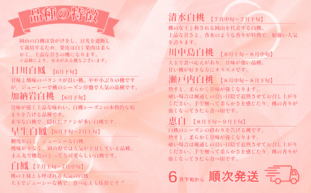 【ご家庭用】 岡山白桃 5～7玉（約1.5kg以上） 【2026年6月下旬～8月下旬発送予定】 白桃 桃 もも フルーツ くだもの 果物 果実 デザート 冷蔵 国産 岡山県 倉敷市