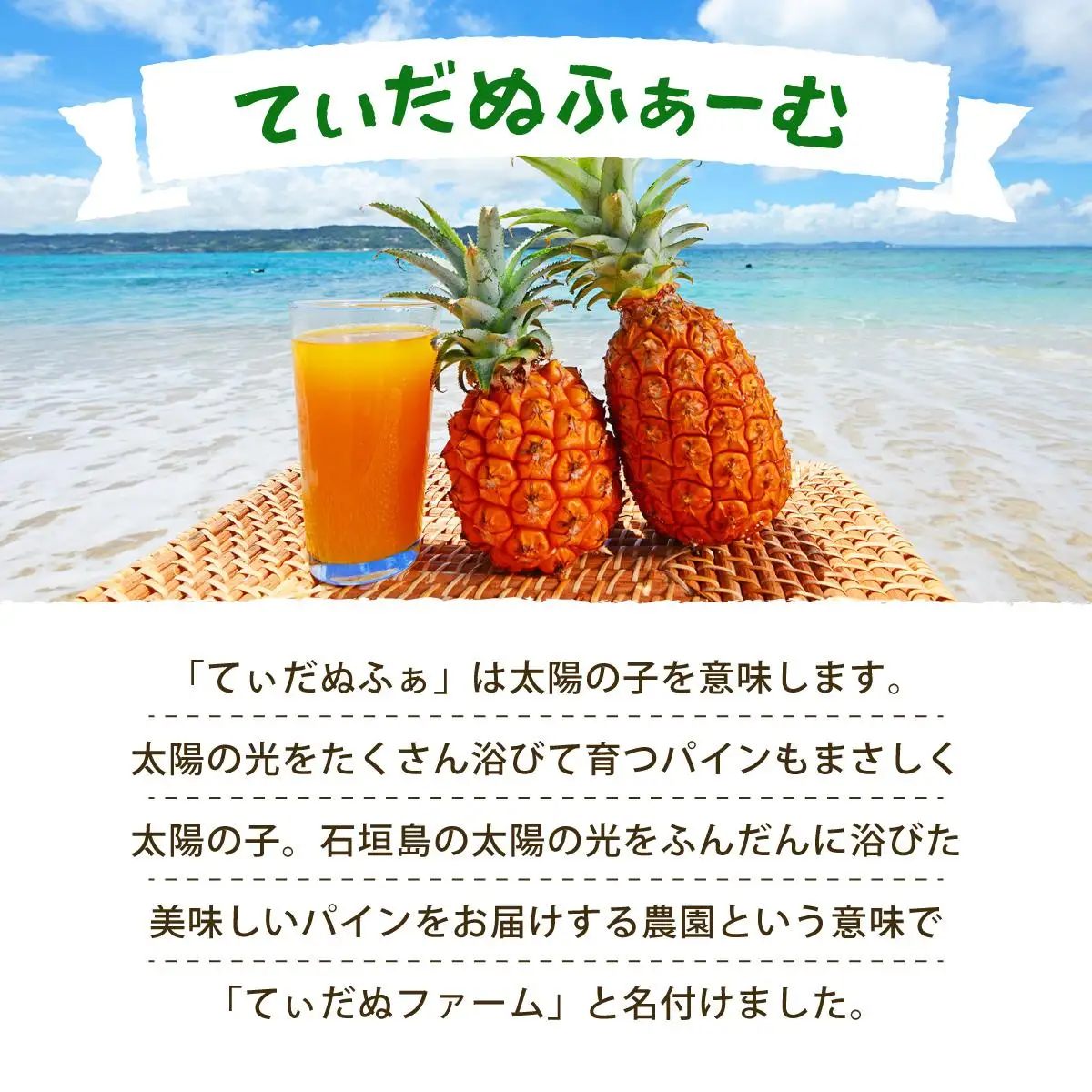 パイナップル パイン収穫体験参加クーポン