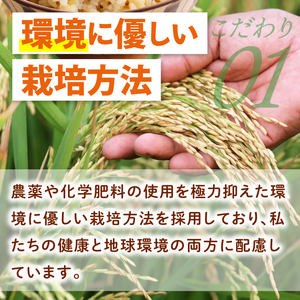 【3ヶ月定期便】令和7年産 茨城県特別栽培米コシヒカリ ネオニコフリー玄米5kg｜米 おこめ こしひかり 農家直送 直送 茨城県 阿見町（04-31）