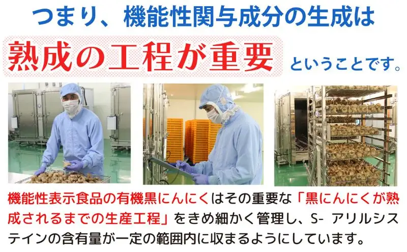 黒にんにく 機能性表示食品 機黒にんにく 120g ×5袋