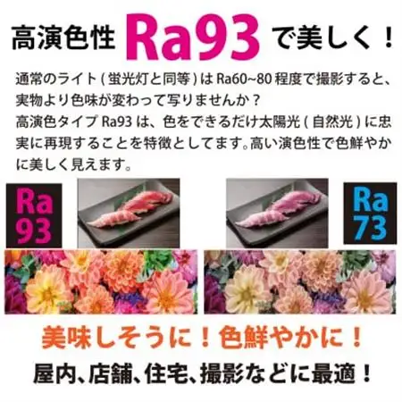 DC12 COB　クリップパネルライト　フレキシブルブラック　Ra93　DCC001-FKC【1701451】