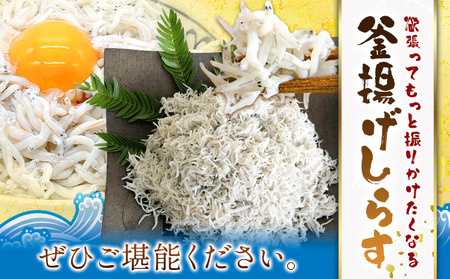 釜揚げしらす 小分け 大津港水揚げ しらす 500g (茨城県共通返礼品：北茨城市) 川崎水産有限会社 《30日以内に出荷予定(土日祝除く)》釜揚げ 小分けパック 減塩 茨城県 河内町【配送不可地域あり】（沖縄・離島）
