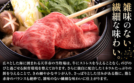 【6ヶ月定期便】黒毛和牛 すき焼き用 切り落とし 1kg × 6回 計6kg A5 ロース すき焼きのたれ 1本付 株式会社田中畜産 《お申込み月の翌月から出荷》熊本県 苓北町 肉 にく お肉 おにく 牛 牛肉 和牛 ロース 切り落とし 極上 定期便