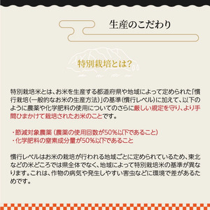 【在庫限り】令和7年産米 食味値80点以上/国東産「つや姫」5kg×1袋 _1673R-1