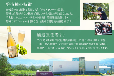 ワイン 甲州オランジュ･グリ スパークリング [本坊酒造株式会社マルス穂坂ワイナリー 山梨県 韮崎市 20745330]