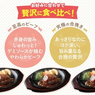 Z61-87 寄附額改定↓↓ 【4回定期便】どっちのハンバーグ(デミグラスソース)20個【ビーフ・合挽 各10個】 ハンバーグ