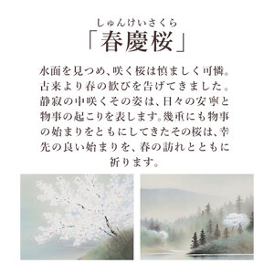 掛け軸「春慶桜」 佐藤眉山 尺五立 サイズ：54.5×190cm 桐箱付 掛け軸 表装 床の間