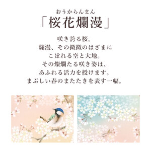 掛け軸「桜花爛漫」 富岡蘇峰 尺五立 サイズ：54.5×190cm 桐箱付 掛け軸 表装 床の間