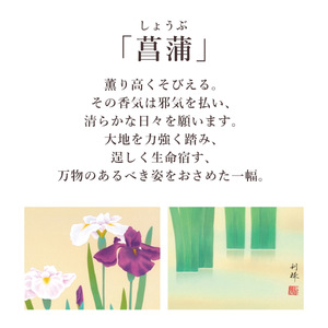 掛け軸「菖蒲」 北沢利輝 尺五立 サイズ：54.5×190cm 桐箱付 掛け軸 表装 床の間