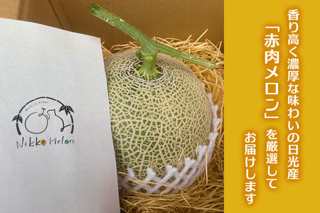 関根農園の日光産「赤肉メロン」1玉【2026年9月初旬より順次発送】｜先行予約 メロン 果物 くだもの フルーツ スイーツ 赤肉 日光市産 栃木県産 国産 [0850]