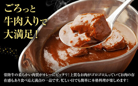 カレー 常陸牛 レトルトカレー 200g × 5箱 1kg (茨城県共通返礼品：茨城県産) ワークミート《30日以内に出荷予定(土日祝除く)》茨城県 河内町 常陸牛 和牛 カレー レトルト ビーフカレー 牛 牛肉 惣菜