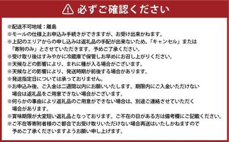 【訳あり】家庭用 シャインマスカット 600g以上2房入り 1.2kg以上【2026年9月上旬～10月上旬発送予定】果物 フルーツ くだもの マスカット ぶどう ブドウ 葡萄 ジューシー 甘い 濃厚 冷蔵