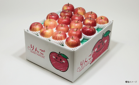 ＜ 先行予約 ＞ りんご 葉取らず ふじ 秀品 約 10kg 26～40玉 【2026年11月下旬から12月下旬発送】 山形県 朝日町産 山形県産 果物 フルーツ リンゴ 林檎 秋 冬