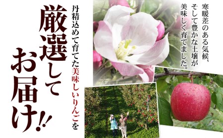 中野果樹園のジョナゴールド5kg（16～20個入り）/ジョナゴールド 送料無料 矢巾町産 りんご 予約 蜜 ジュース 甘い 酸味 贈答 ギフト プレゼント リンゴ 林檎 果物 くだもの フルーツ 岩手県 矢巾町