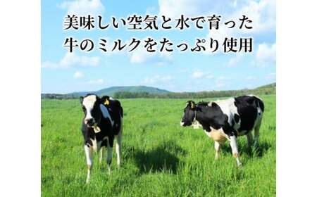十勝産生乳の旨み！ジェラートアイスクリーム 16個セット CAMEMBERT（カマンベール）[027-0272]