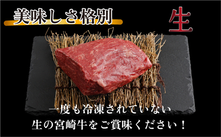 【数量限定】＜冷蔵・真空包装＞A4等級以上！宮崎牛モモブロック(約600g)_K008-019