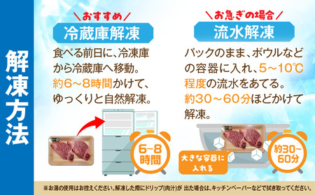 牛肉 シャトーブリアン 牛肉[宮崎牛 ステーキ 300g]