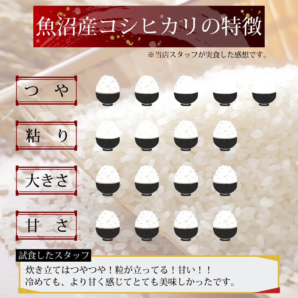 【定期便6回】令和7年産 新潟県 魚沼産 無洗米 コシヒカリ5kg 精米 一等米  天糧