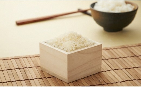 【令和7年産米】真空パック 特別栽培米 新之助 無洗米 10kg（5kg×2袋） 山波農場のお米 新潟県産 [Y0593]