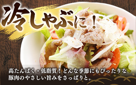 岩手県産豚肉小間切れ約1.0kg(500g×2P) 国産 豚肉 肉 豚 小間切れ お肉 小分け 赤身 旨み 料理 焼肉 野菜炒め 生姜焼き 冷凍 岩手県 岩手町