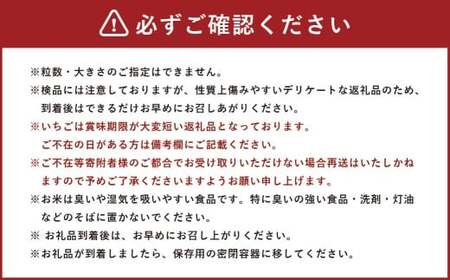 【令和7年産】 新米・精米 きぬむすめ5㎏＆いちご詰合せ（約280g×4パック） 【2026年1月上旬から5月上旬頃発送予定】いちご お米 白米 セット 冷蔵 岡山県 美咲町