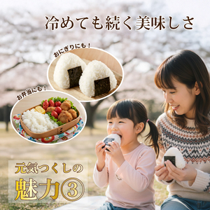 元気つくし 10kg 令和7年産 お米 米 こめ TJI