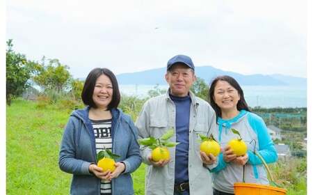 環境マイスターのレモン 2kg（無肥料／栽培期間中農薬を減らして栽培）【2025年11月上旬～2026年6月下旬発送予定】レモン 檸檬 れもん 果物 くだもの フルーツ ビタミン 酸味 果汁 果実 柑橘 レモネード レモンサワー 国産 熊本県産 水俣市産