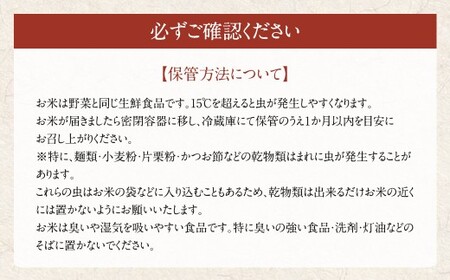 【12回定期便】 鹿児島県産 銘柄米 ブレンド 薩摩うんまか米 （10kg×12回） 定期便 ブレンド米 白米 米 お米 おこめ LS-304